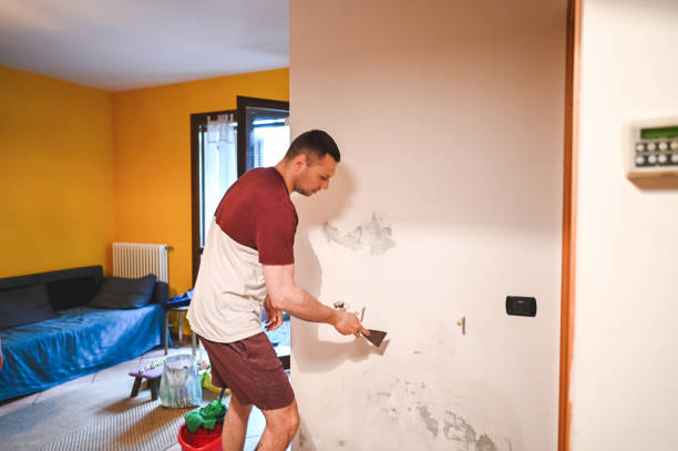 Best Office Mold Removal Services  in Gilbert, AZ